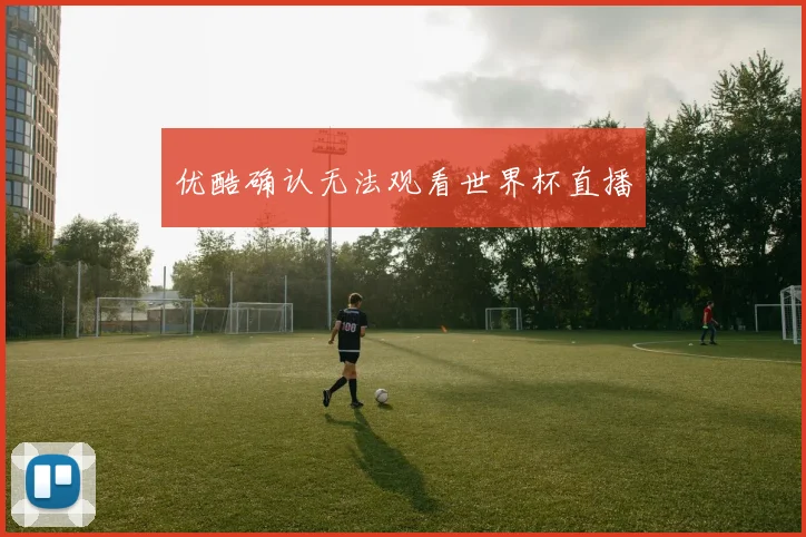 优酷确认无法观看世界杯直播