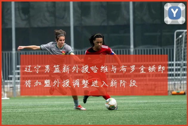 辽宁男篮新外援哈维与布罗金顿即将加盟外援调整进入新阶段