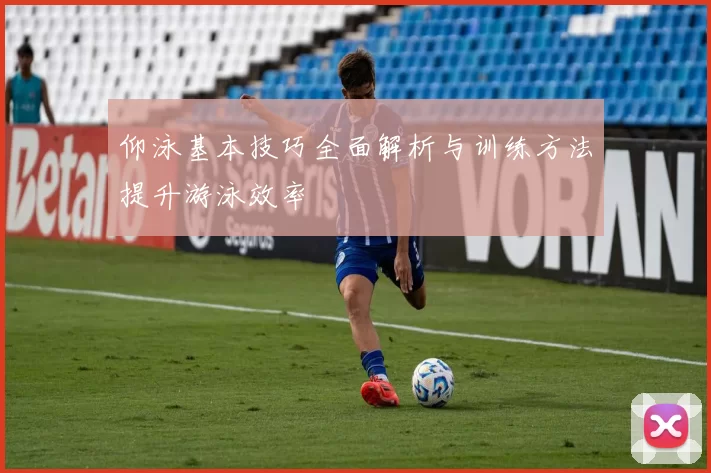 仰泳基本技巧全面解析与训练方法提升游泳效率