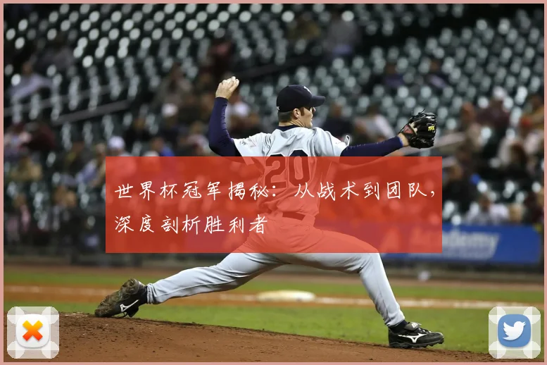 世界杯冠军揭秘:从战术到团队,深度剖析胜利者