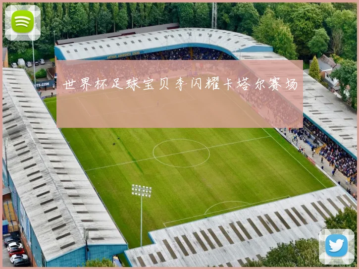 世界杯足球宝贝李闪耀卡塔尔赛场