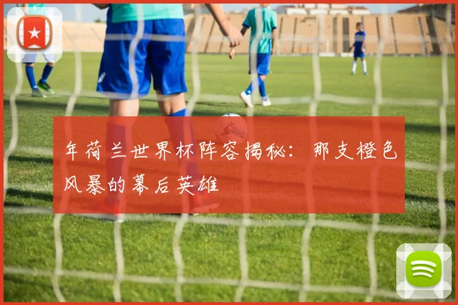 年荷兰世界杯阵容揭秘:那支橙色风暴的幕后英雄