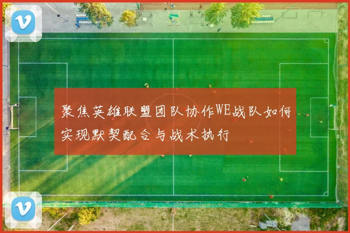 聚焦英雄联盟团队协作WE战队如何实现默契配合与战术执行