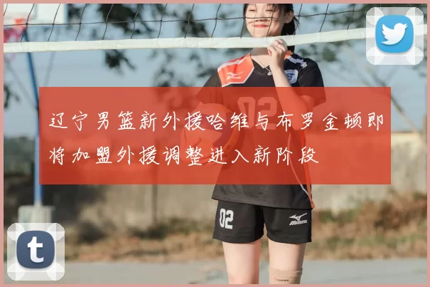 辽宁男篮新外援哈维与布罗金顿即将加盟外援调整进入新阶段