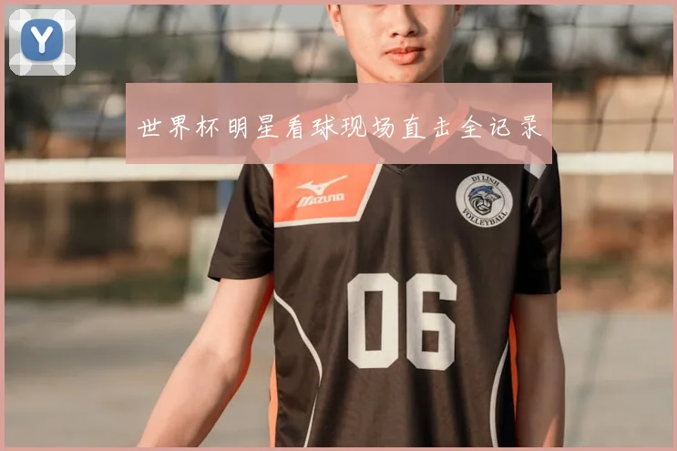 世界杯明星看球现场直击全记录