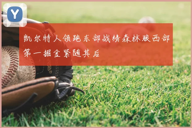 凯尔特人领跑东部战绩森林狼西部第一掘金紧随其后