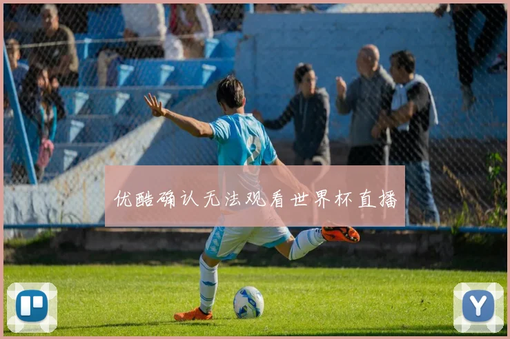 优酷确认无法观看世界杯直播