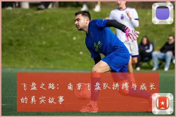 飞盘之路:南京飞盘队拼搏与成长的真实故事