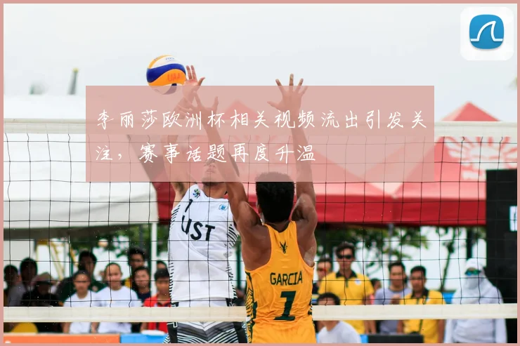 李丽莎欧洲杯相关视频流出引发关注，赛事话题再度升温
