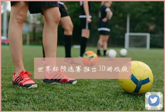 世界杯预选赛推出3D游戏版