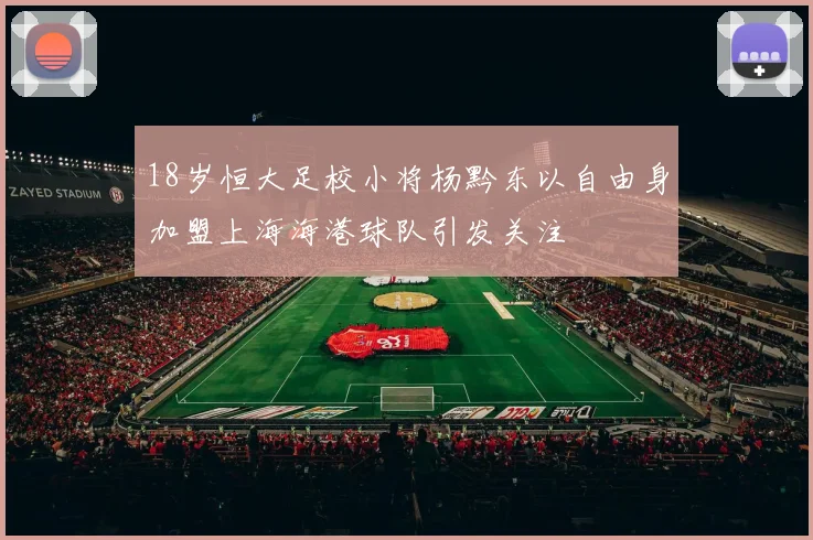 18岁恒大足校小将杨黔东以自由身加盟上海海港球队引发关注