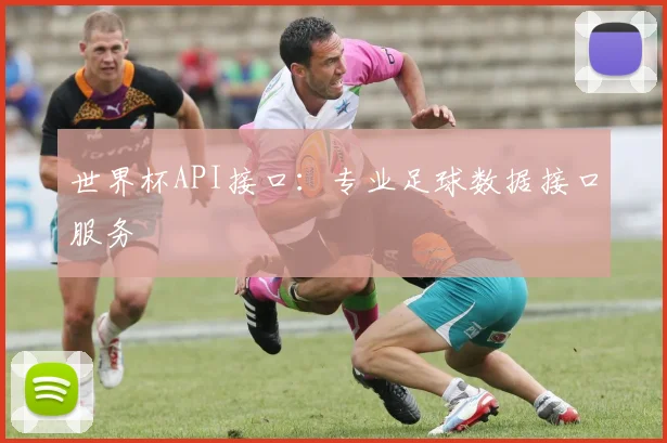 世界杯API接口：专业足球数据接口服务