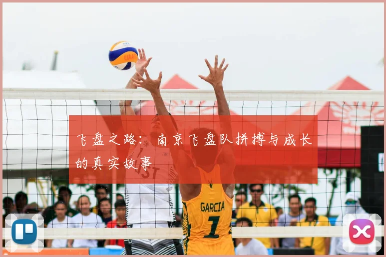 飞盘之路:南京飞盘队拼搏与成长的真实故事