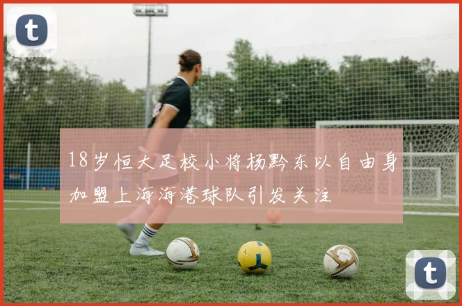 18岁恒大足校小将杨黔东以自由身加盟上海海港球队引发关注