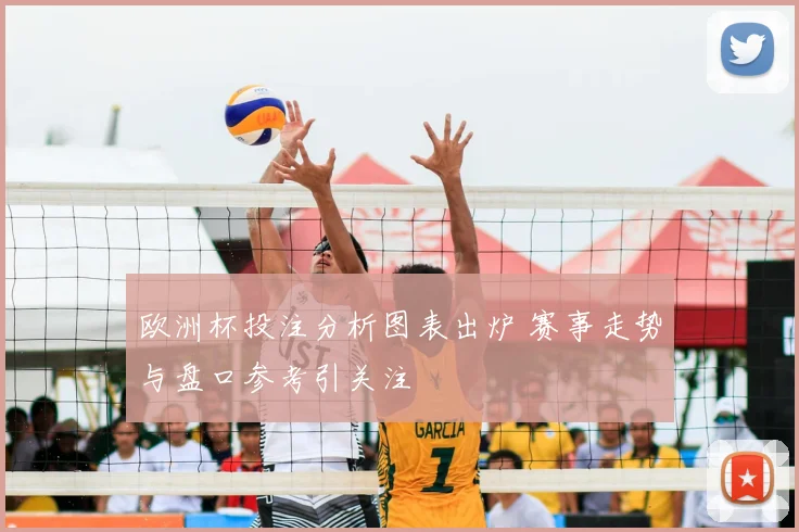 欧洲杯投注分析图表出炉 赛事走势与盘口参考引关注