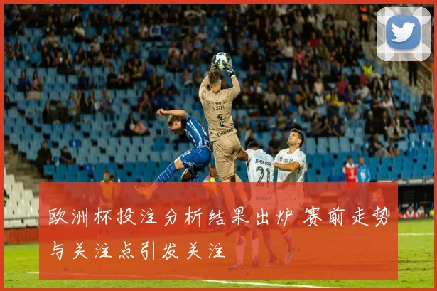 欧洲杯投注分析结果出炉 赛前走势与关注点引发关注